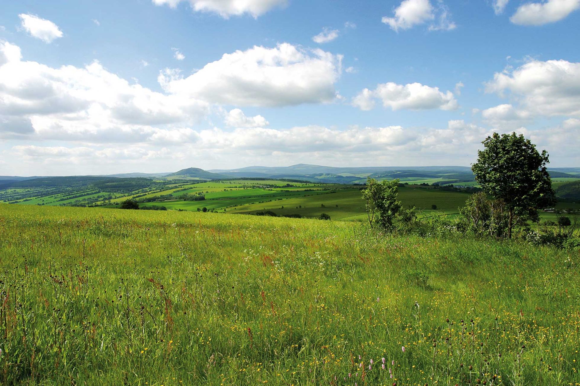 Grüne Wiese mit weitem Blick