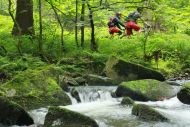 Ein Bachlauf im Wald, Fahrradfahrer im Hintergrund